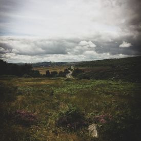 Instagram-image